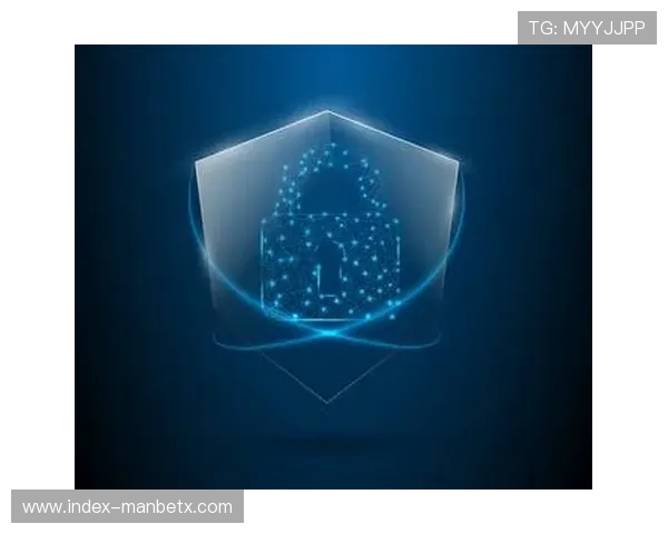 万博官方首页安全保障措施，保障用户资金与信息安全的详细介绍